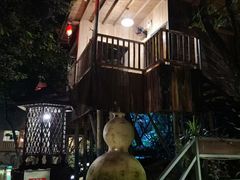 -天门沟九州驿站树上汤泉