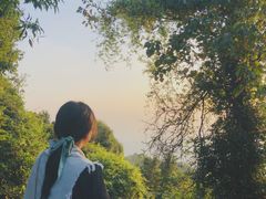 -火炉山森林公园