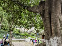 -成都市活水公园