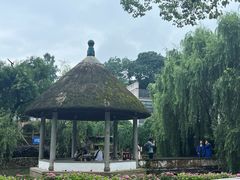 -岳麓山风景名胜区