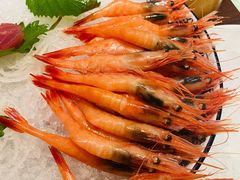 -黑松白鹿(崇文门新活馆店)