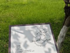 -桂溪生态公园