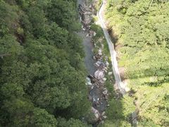 -九龙江国家森林公园