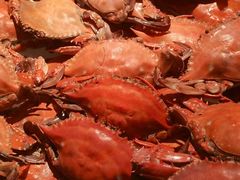 -星伦多自助料理·涮烤一体(嘉兴八佰伴店)