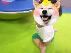 -金宝贝(中环百联中心)
