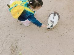 -前小桔亲子创意农场·草莓采摘·露营烧烤
