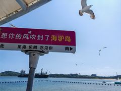 -海驴岛(荣成市)