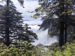 -瓦屋山景区
