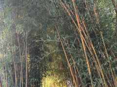 -三利音·浦之舟(滨江大道店)