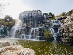 -北京西山国家森林公园