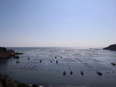 -枸杞岛