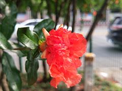 -吉庆街美食广场