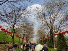 -大槐树寻根祭祖园