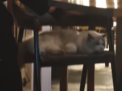 -故遥酒馆.赛事直播