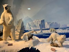 -陕西自然博物馆