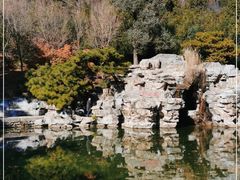 -香山公园