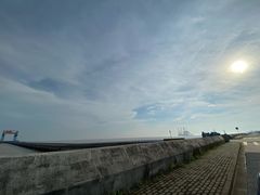 -南汇嘴观海公园