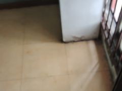 -华林禅寺