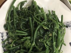 丝瓜苗-力力豆花庄(广渠门店)