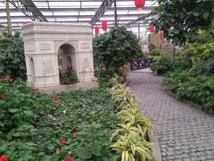 -南宫五洲植物乐园