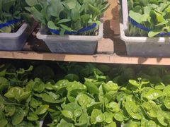 -老阿爸江浙土菜(前进东路店)