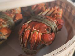 -乡乐园蟹庄·阳澄湖农家乐