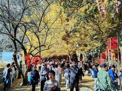 -大慈岩风景区