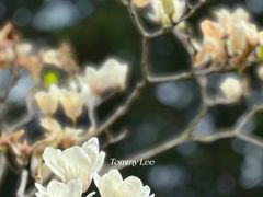 -南宁南湖公园