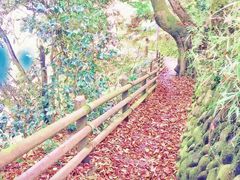 -成都濑川外国语学校