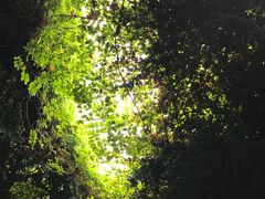 -龙达温泉生态城
