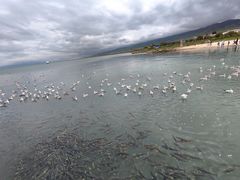 -青海湖二郎剑景区