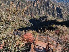 -大岭沟猕猴桃谷风景区