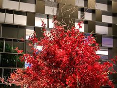 -佘山世茂艾美·御珍轩中餐厅