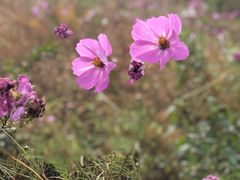 -潭柘厚院&山顶烤肉(潭柘寺店)