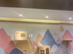 -滚猫咖啡·猫咖·猫友好撸猫(未来城店)