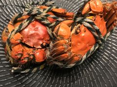 -新发展亚太JW万豪酒店大堂吧