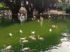 -九龙公园