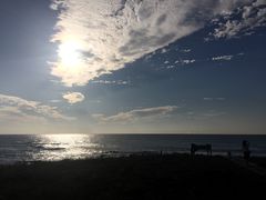 -Cafe Aewol Monsant