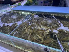-聚盛源蒸汽海鲜火锅烤肉自助(巨川金海岸购物广场店)