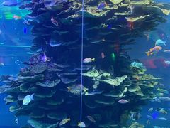 -泉城欧乐堡海洋极地世界