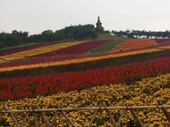 android_upload_pic-东部华侨城