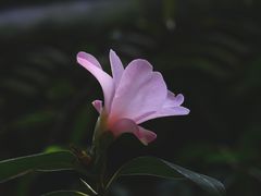 -六和塔文化公园
