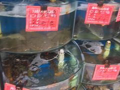水产区-北戴河庆山饭店·海鲜砂锅粥(北戴河黑石路店)
