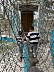 -季高兔窝窝亲子园(上海薰衣草公园店)