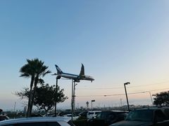 -In-N-Out Burger(LAX)