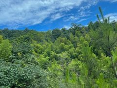 -莫干山风景区