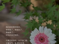 -曼朗心理咨询·旗舰店