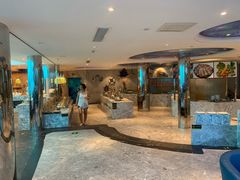 -瑞德姆美人鱼海底演艺主题餐厅(亚龙湾店)