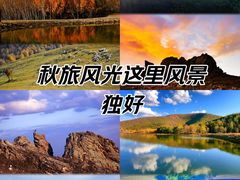 -丰宁坝上草原