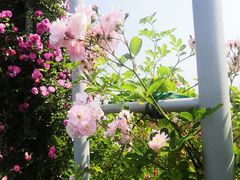 -尚贤河湿地